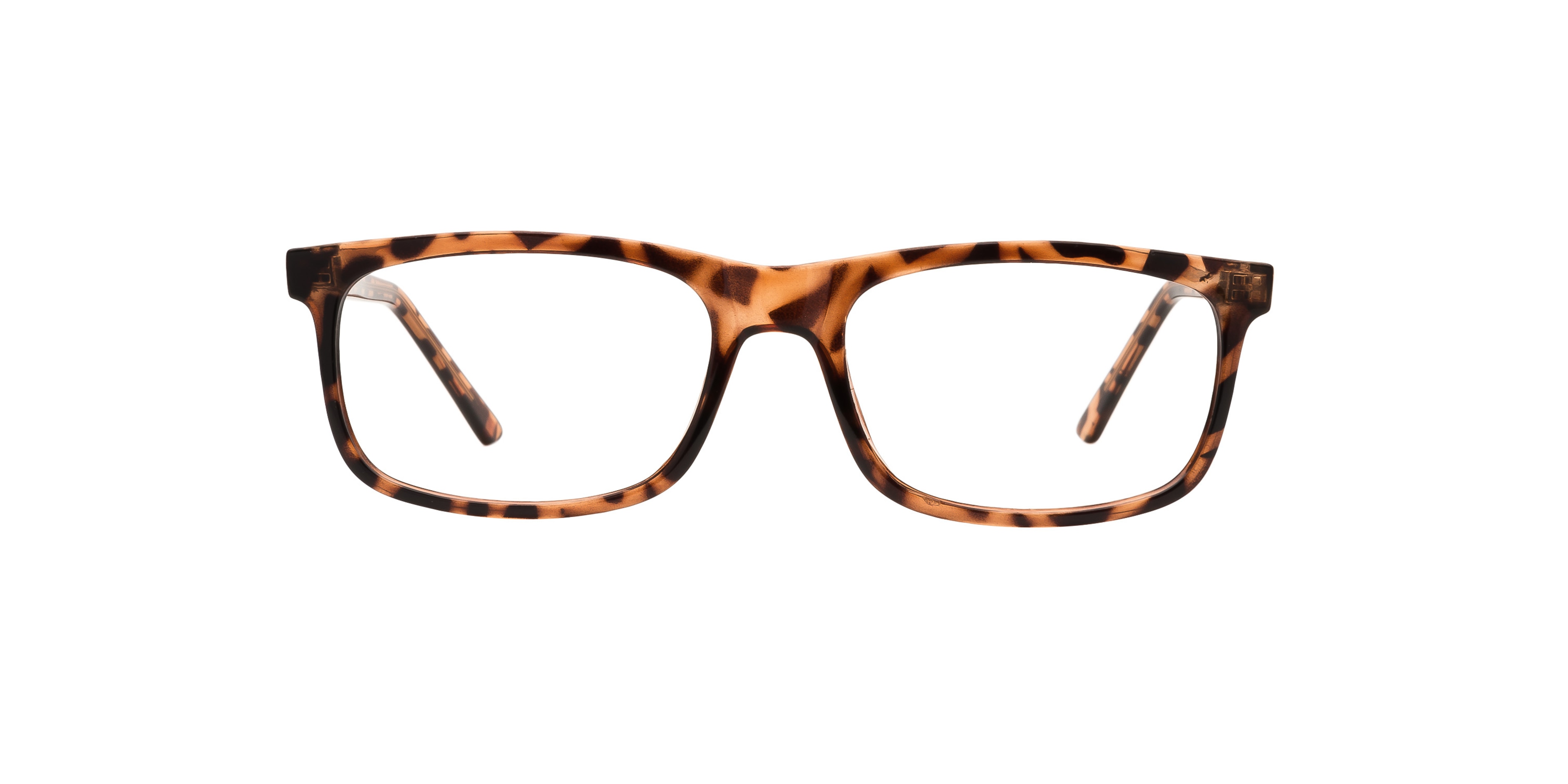 Clearly MOOSE JAW Glasses Clearly