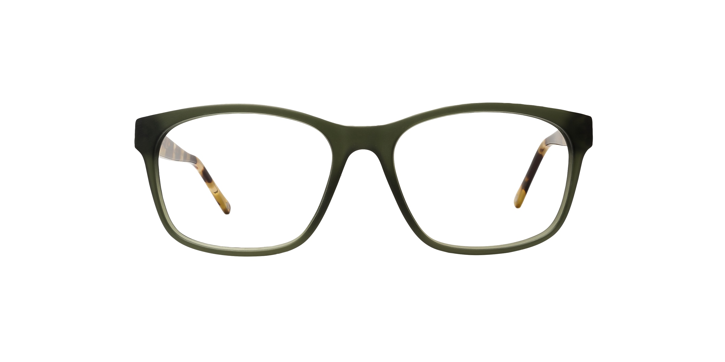 Clearly Glasses TURTLE BAY