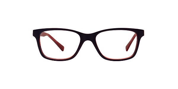 Clearly Glasses FRY
