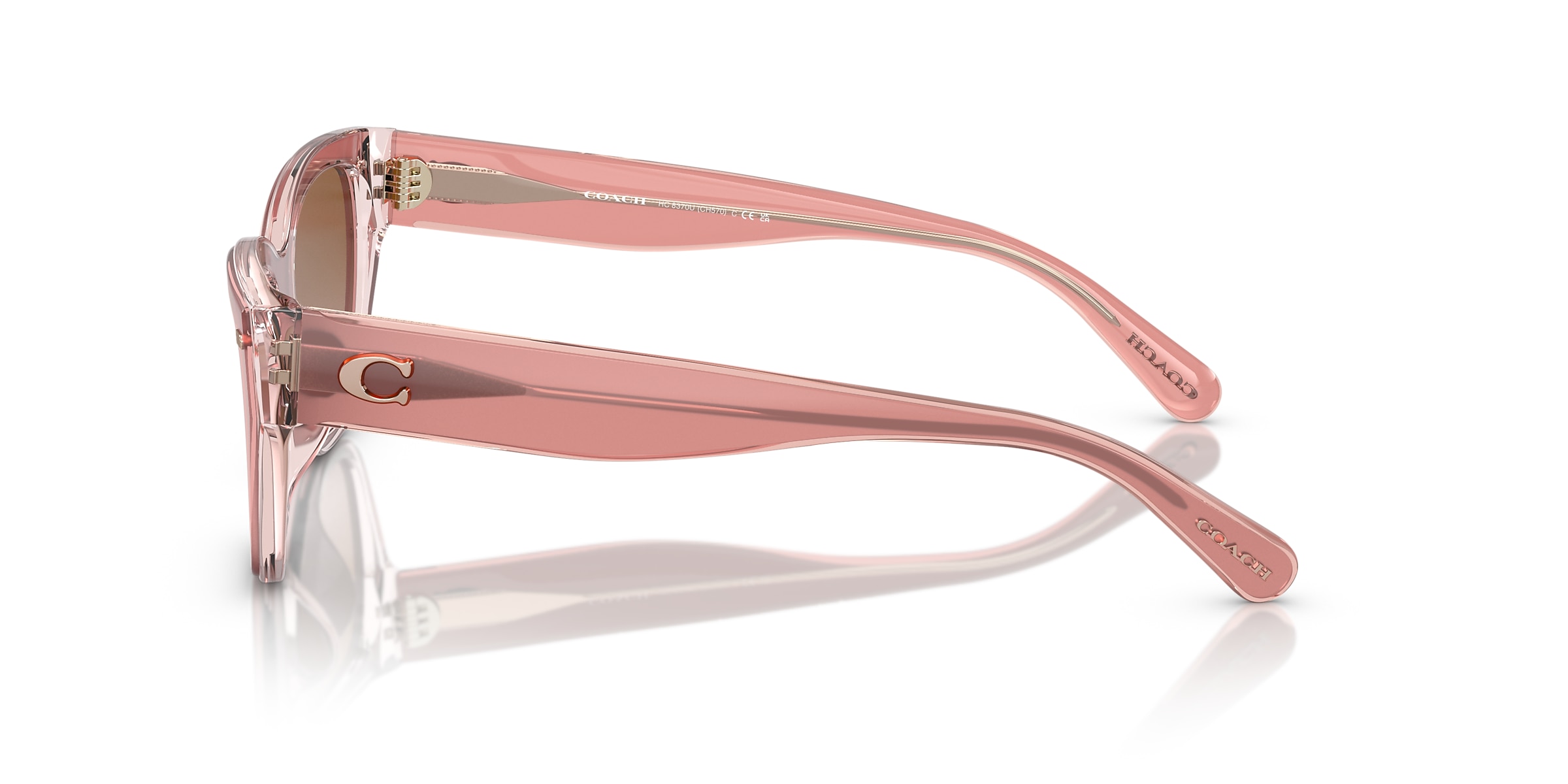 Coach Sunglasses HC8370U CH570