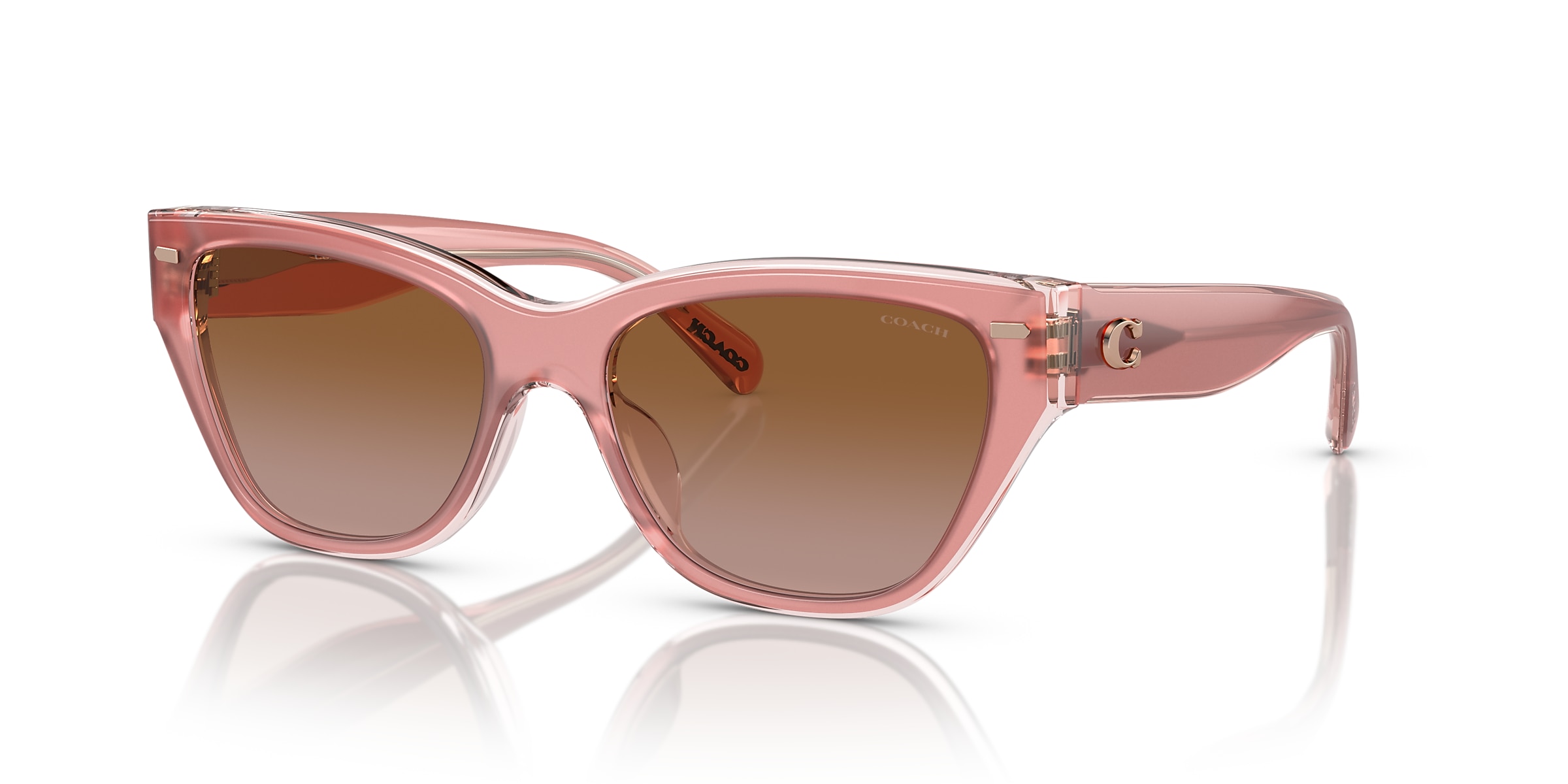 Coach Sunglasses HC8370U CH570