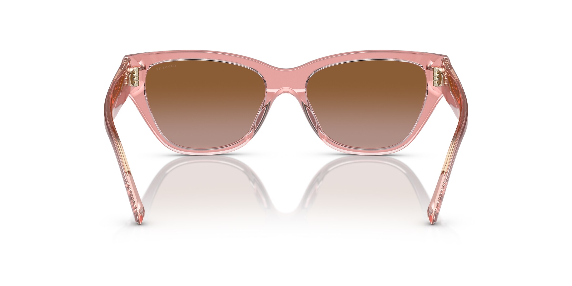 Coach Sunglasses HC8370U CH570