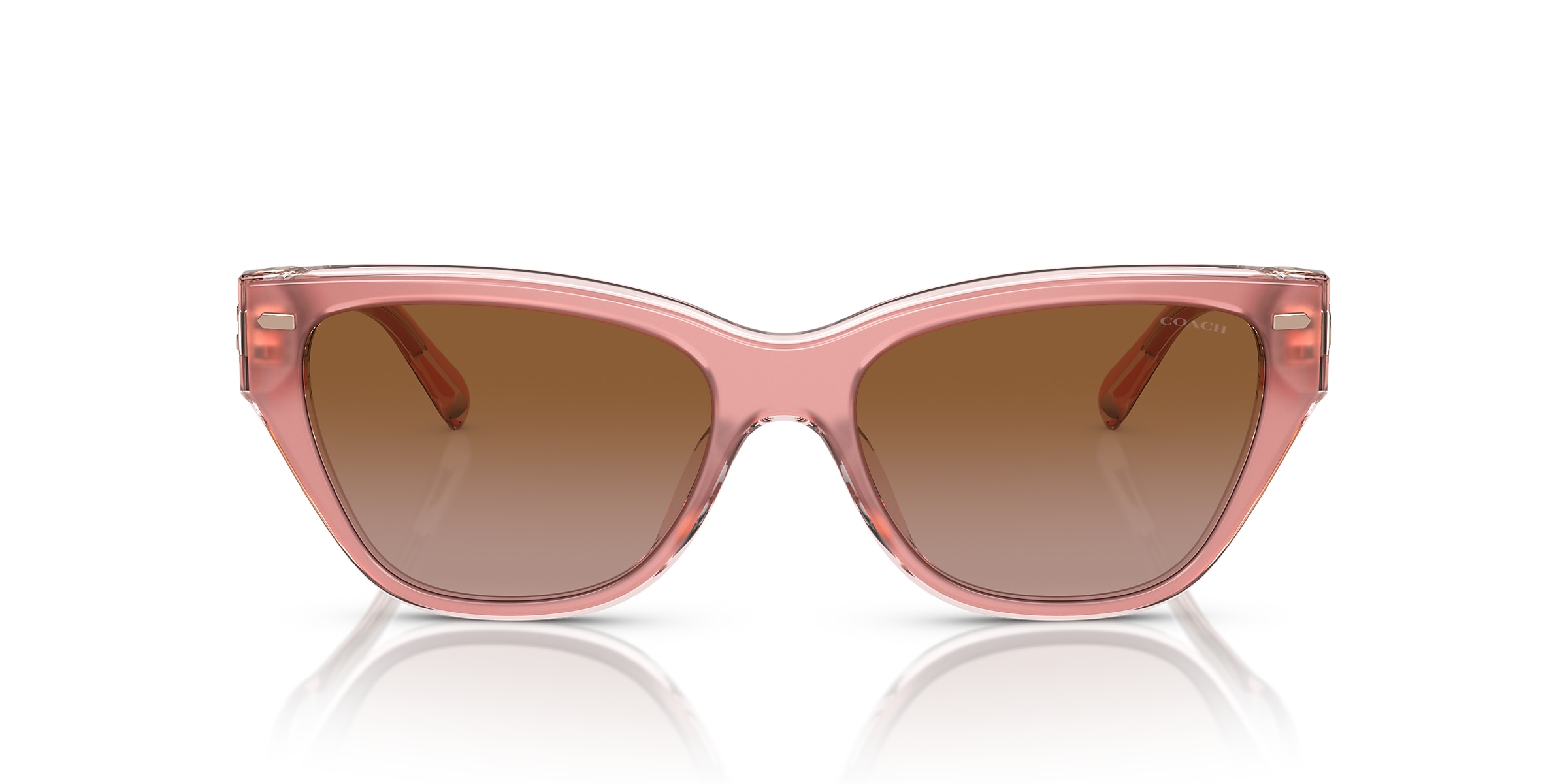 Coach Sunglasses HC8370U CH570