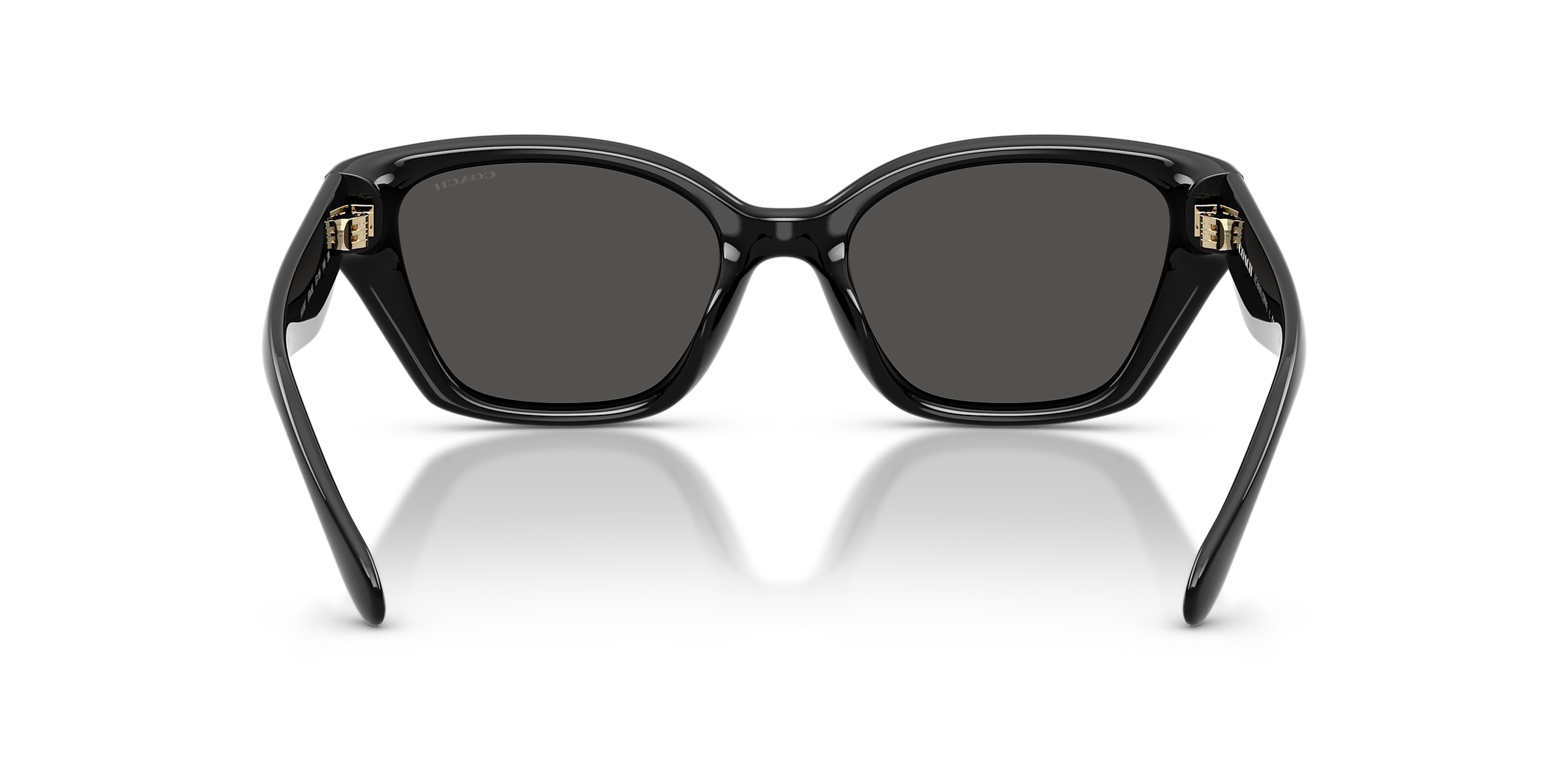 Coach Sunglasses HC8434U CBY91