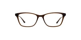 kam dhillon Glasses sally