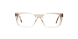 clearly Glasses sequoia