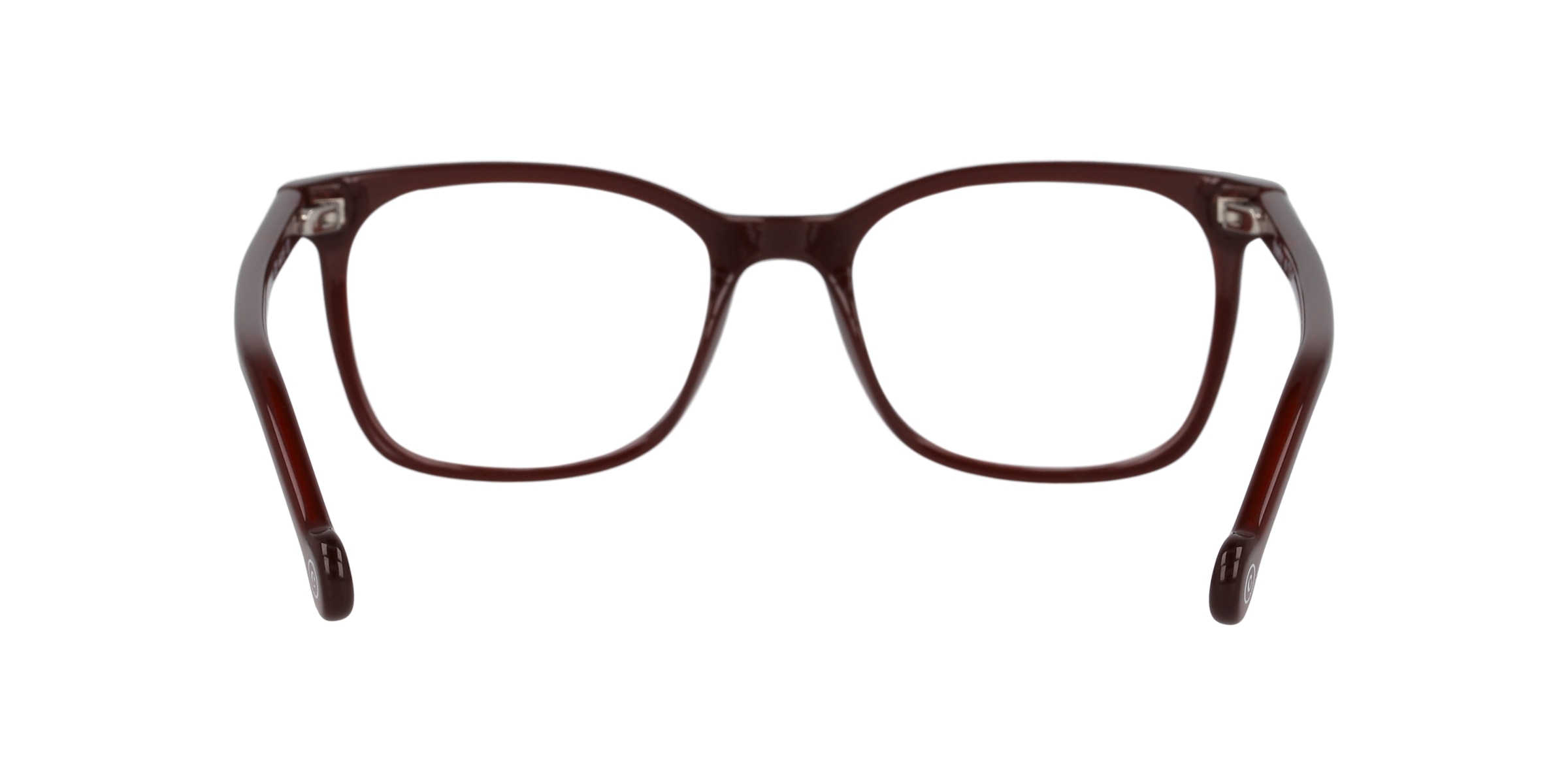 Clearly Glasses LION