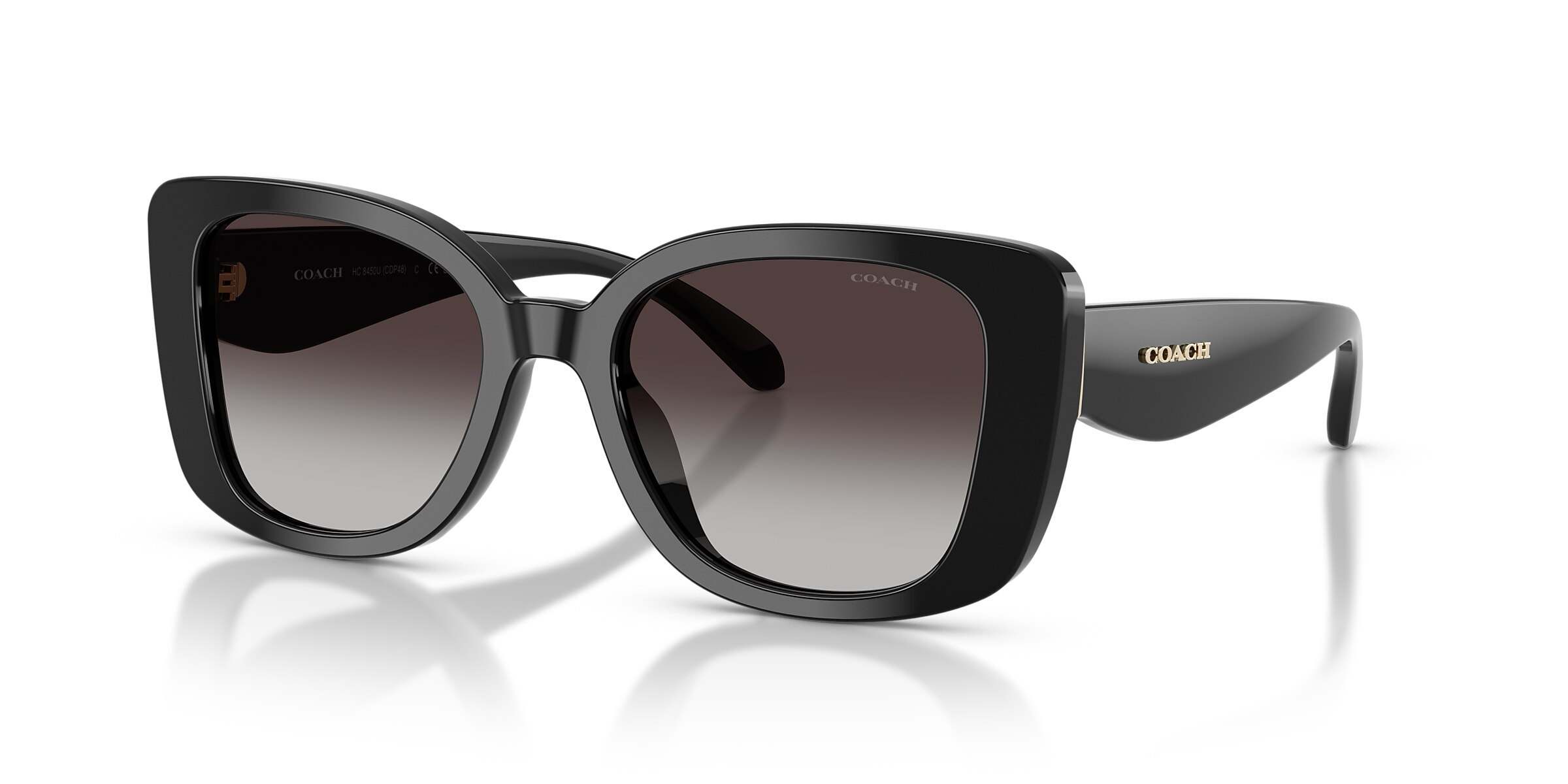 Coach Sunglasses HC8450U CDP48