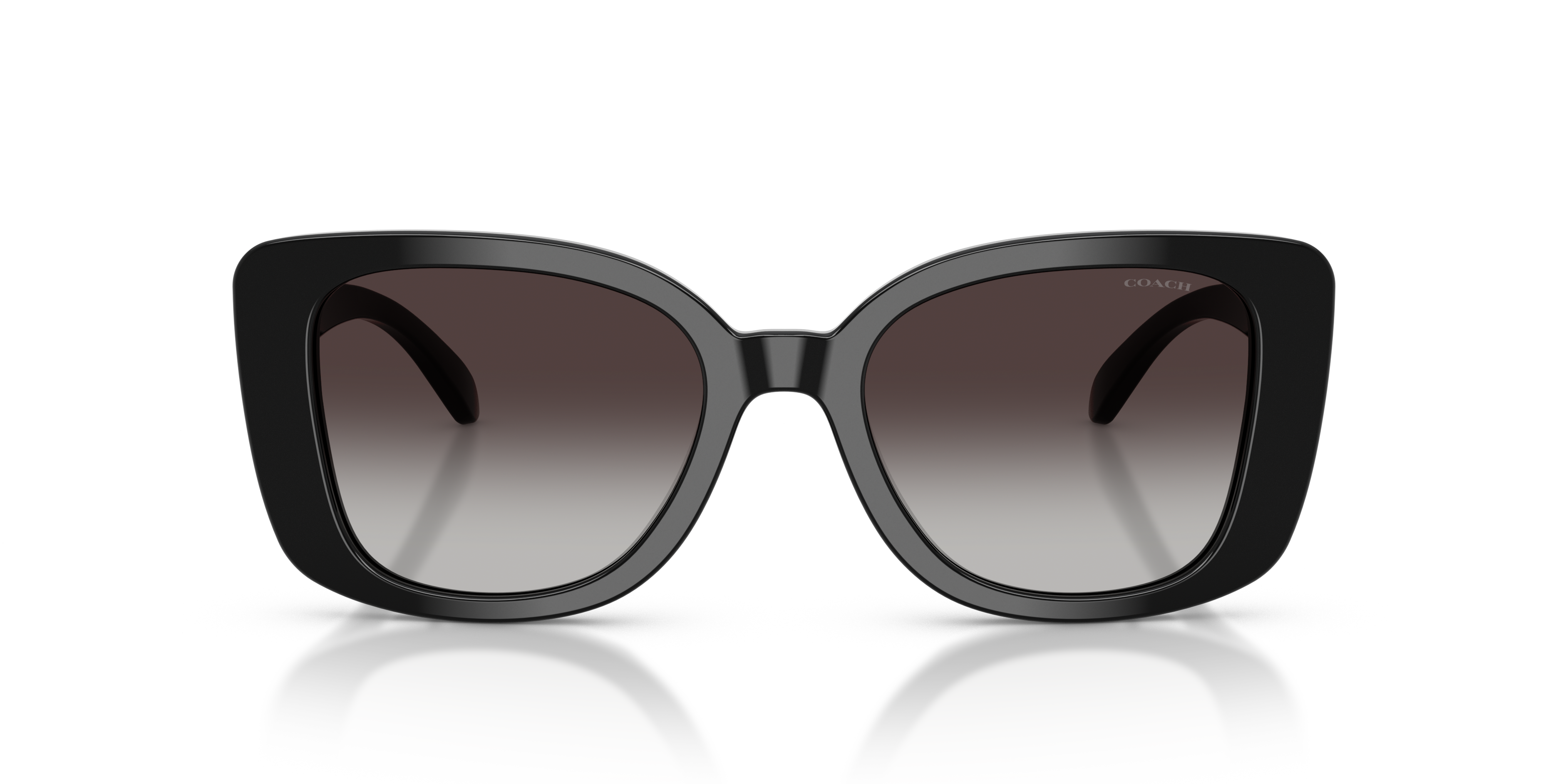 Coach HC8450U CDP48 Sunglasses | Clearly