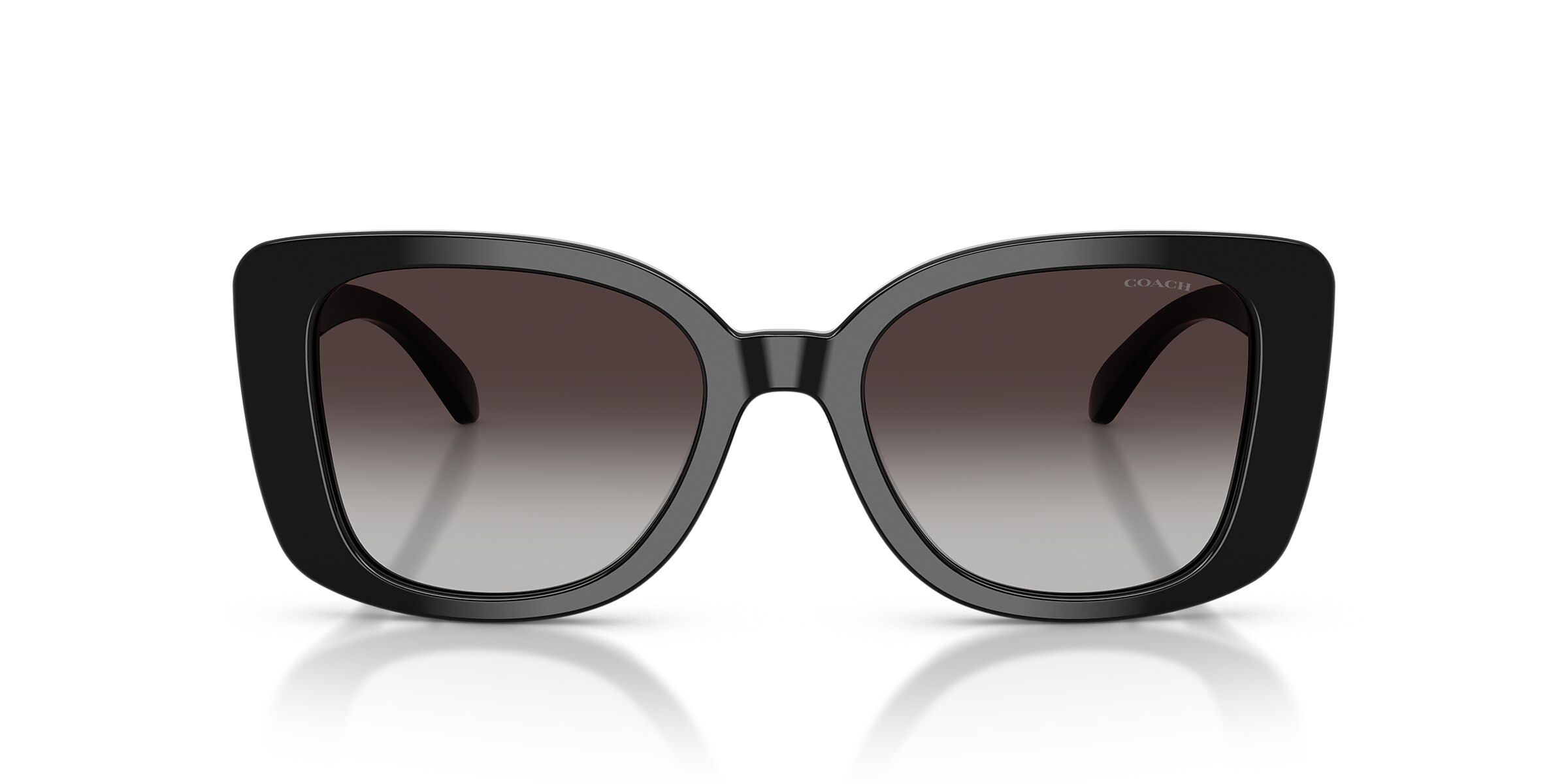 Coach Sunglasses HC8450U CDP48