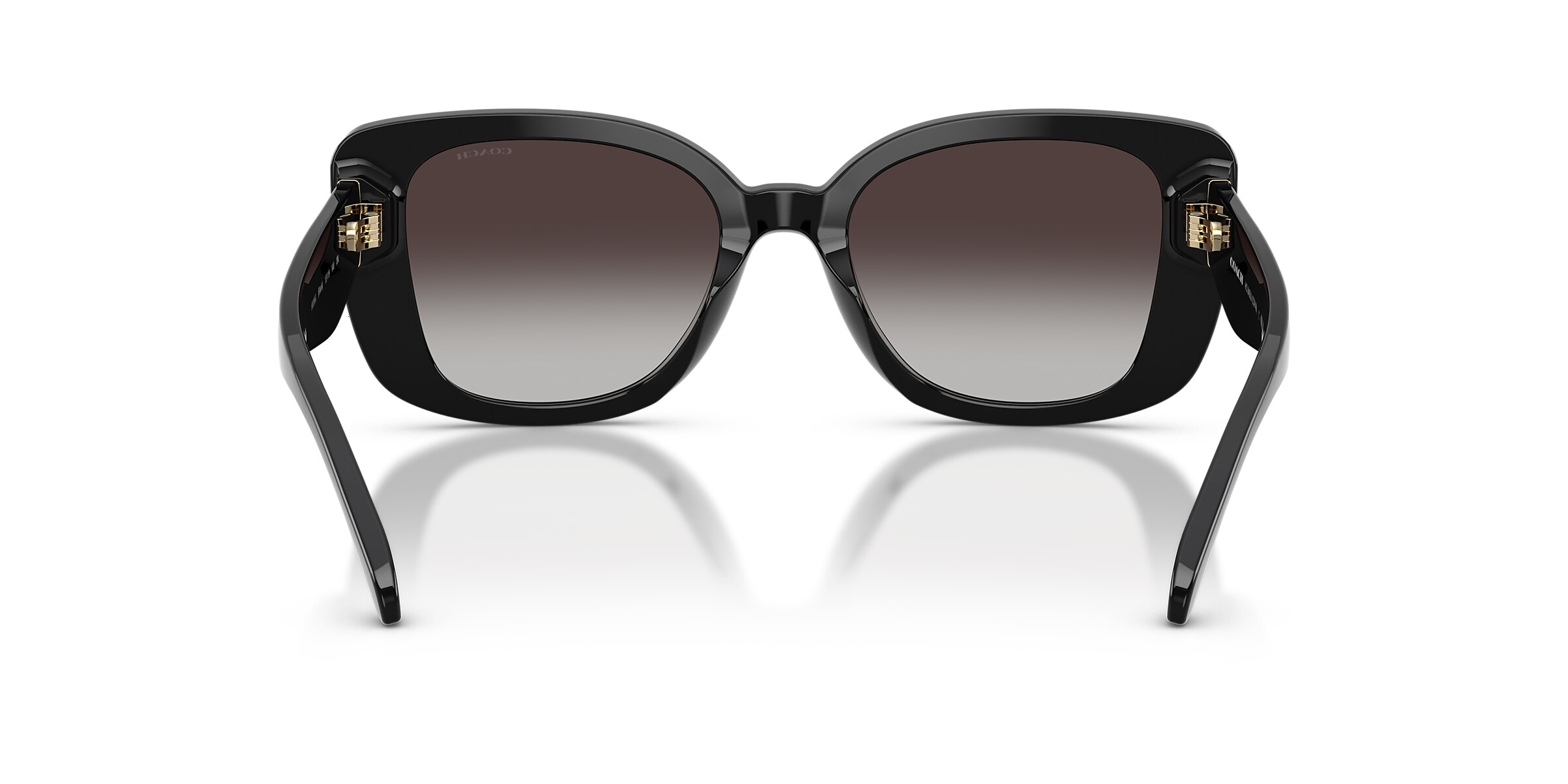 Coach Sunglasses HC8450U CDP48