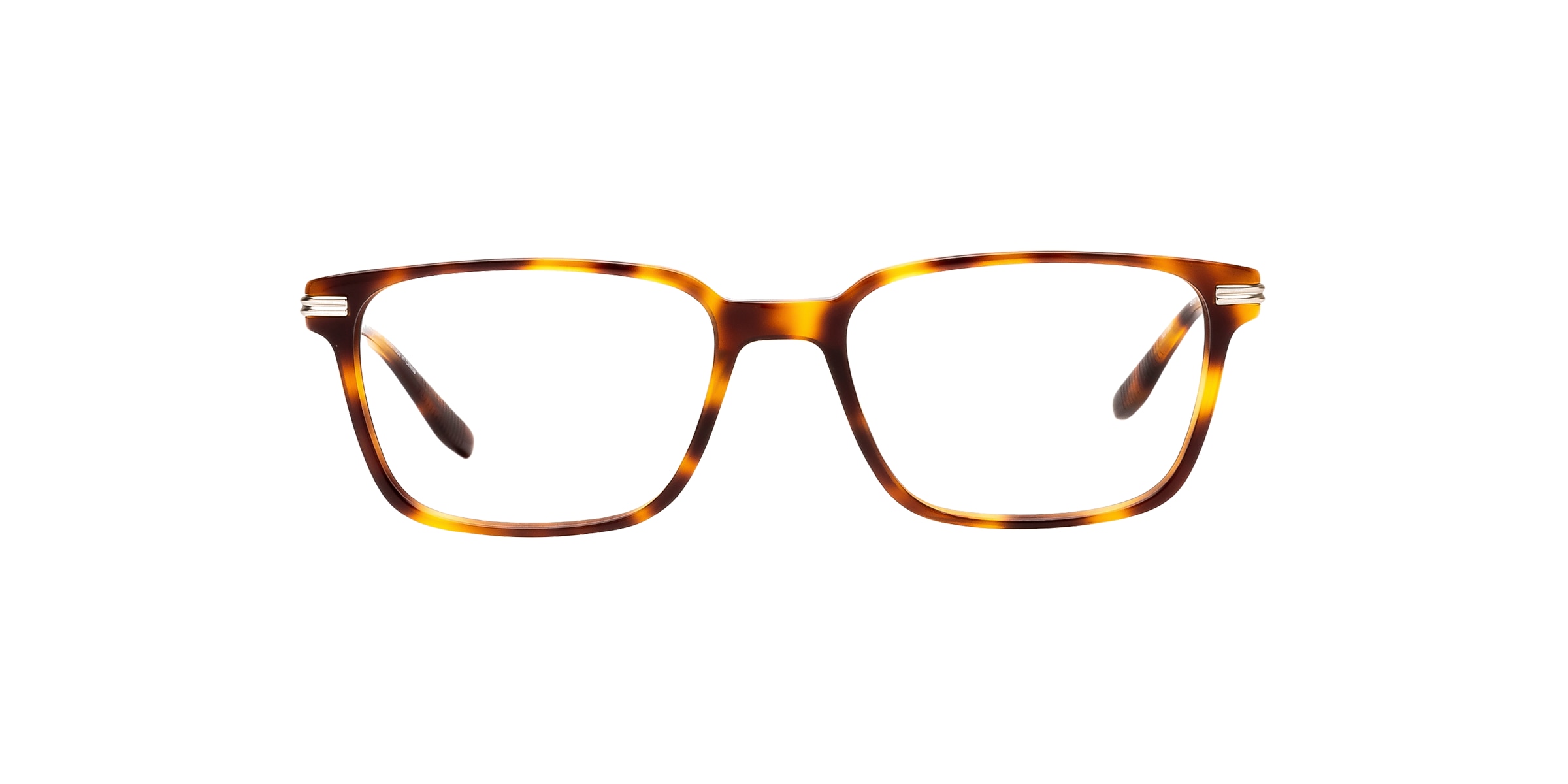 Clearly Glasses BIXBY