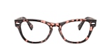 Ray-Ban Glasses RB2201V LARAMIE OPTICS