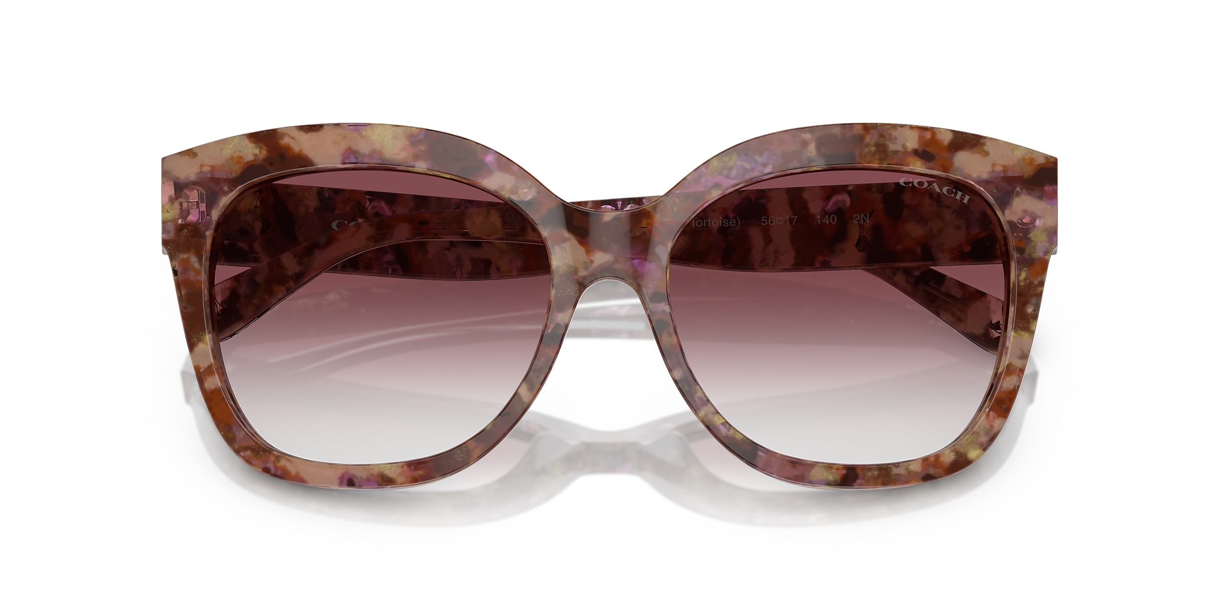 Coach Sunglasses HC8264 L1083