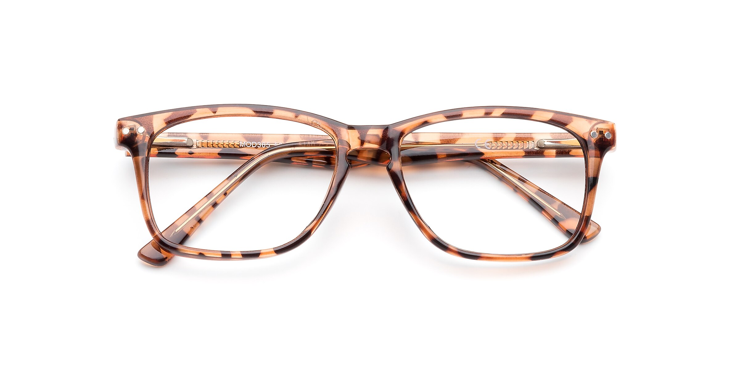 Clearly Glasses SAINT-HENRI