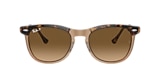 Ray-Ban Sunglasses RB2398 EAGLE EYE