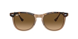 ray-ban Sunglasses rb2398 eagle eye