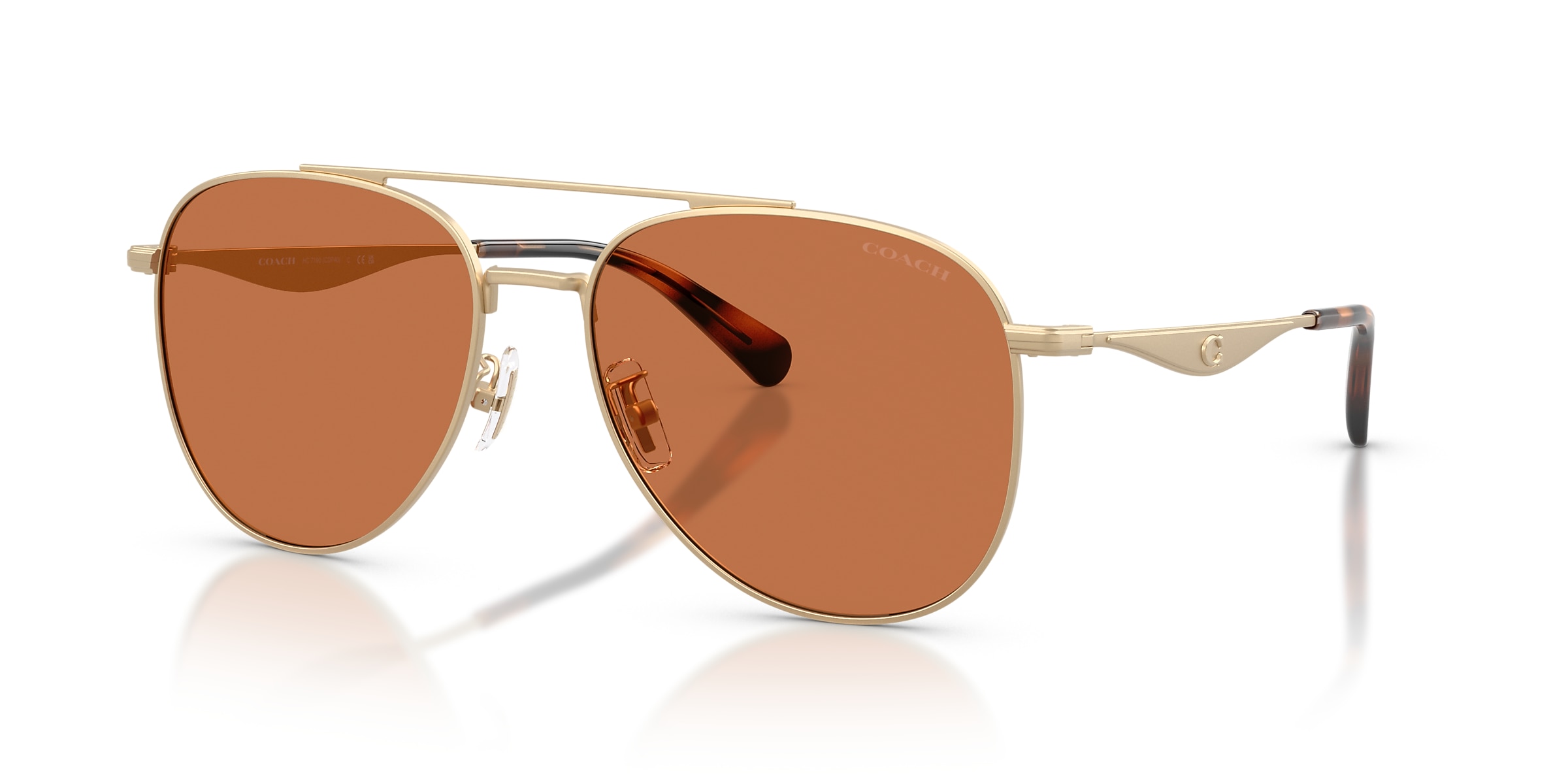 Coach Sunglasses HC7190 CDP40