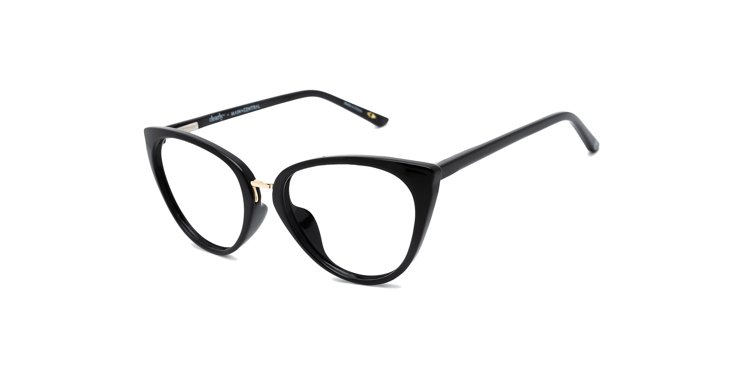 Clearly Glasses POOLER