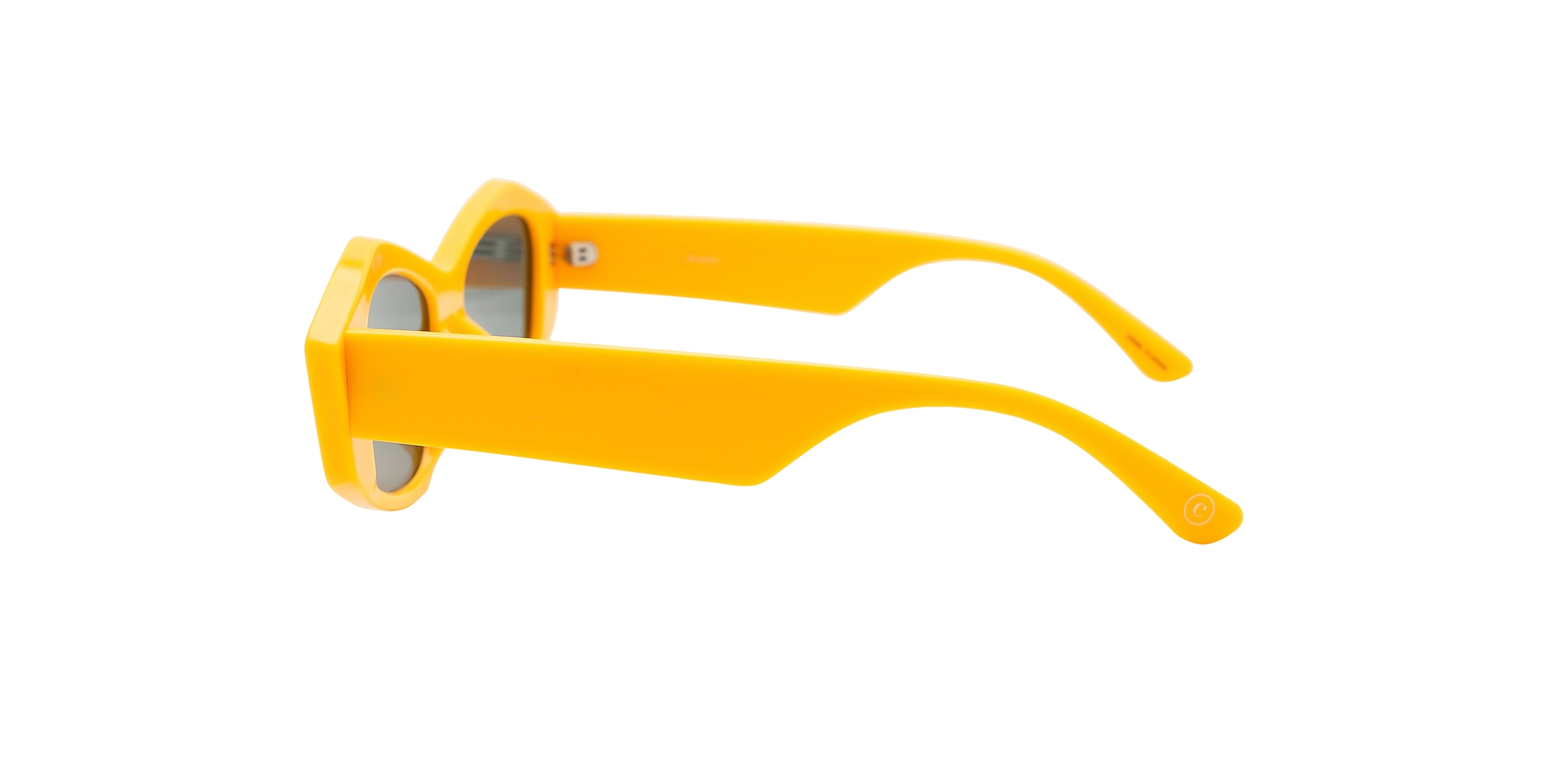 Clearly Sunglasses BRUSHES