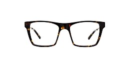 kam dhillon Glasses bushwick
