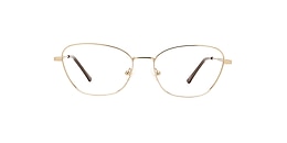 clearly Glasses makkovik