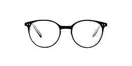 clearly Glasses foal