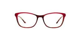 kam dhillon Glasses constance