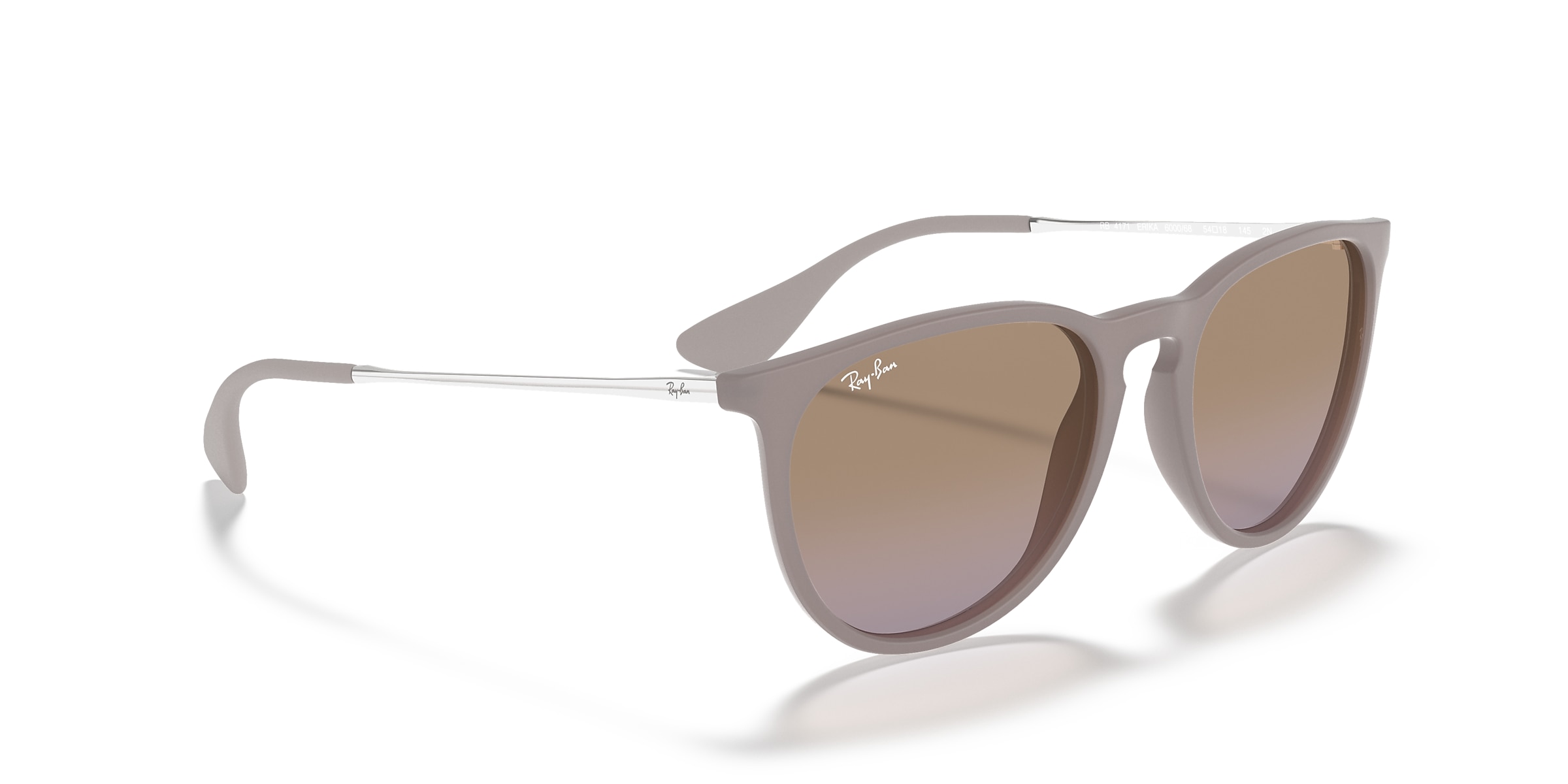 Ray-Ban Sunglasses RB4171 ERIKA CLASSIC