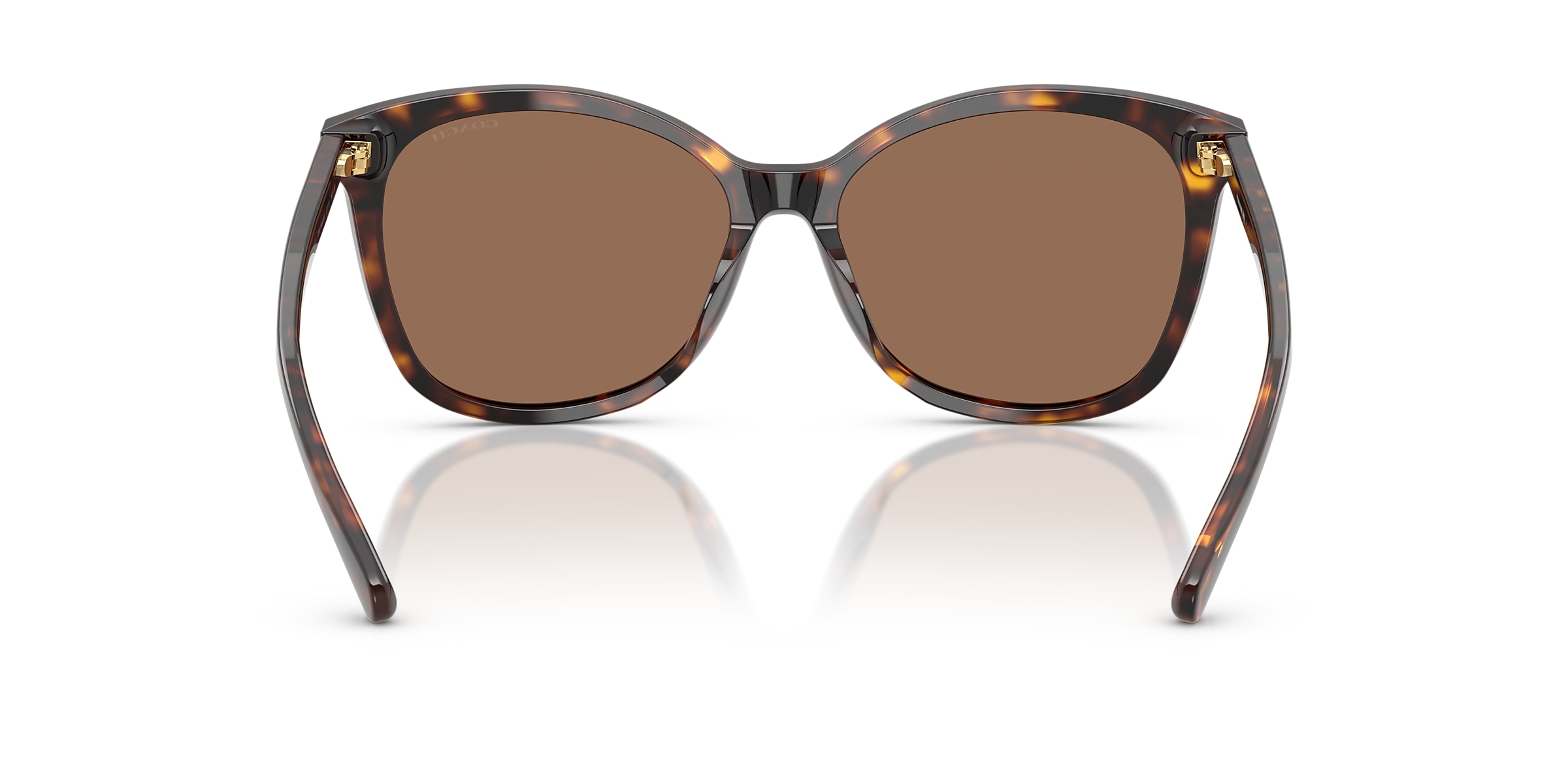 Coach Sunglasses HC8271U L1101