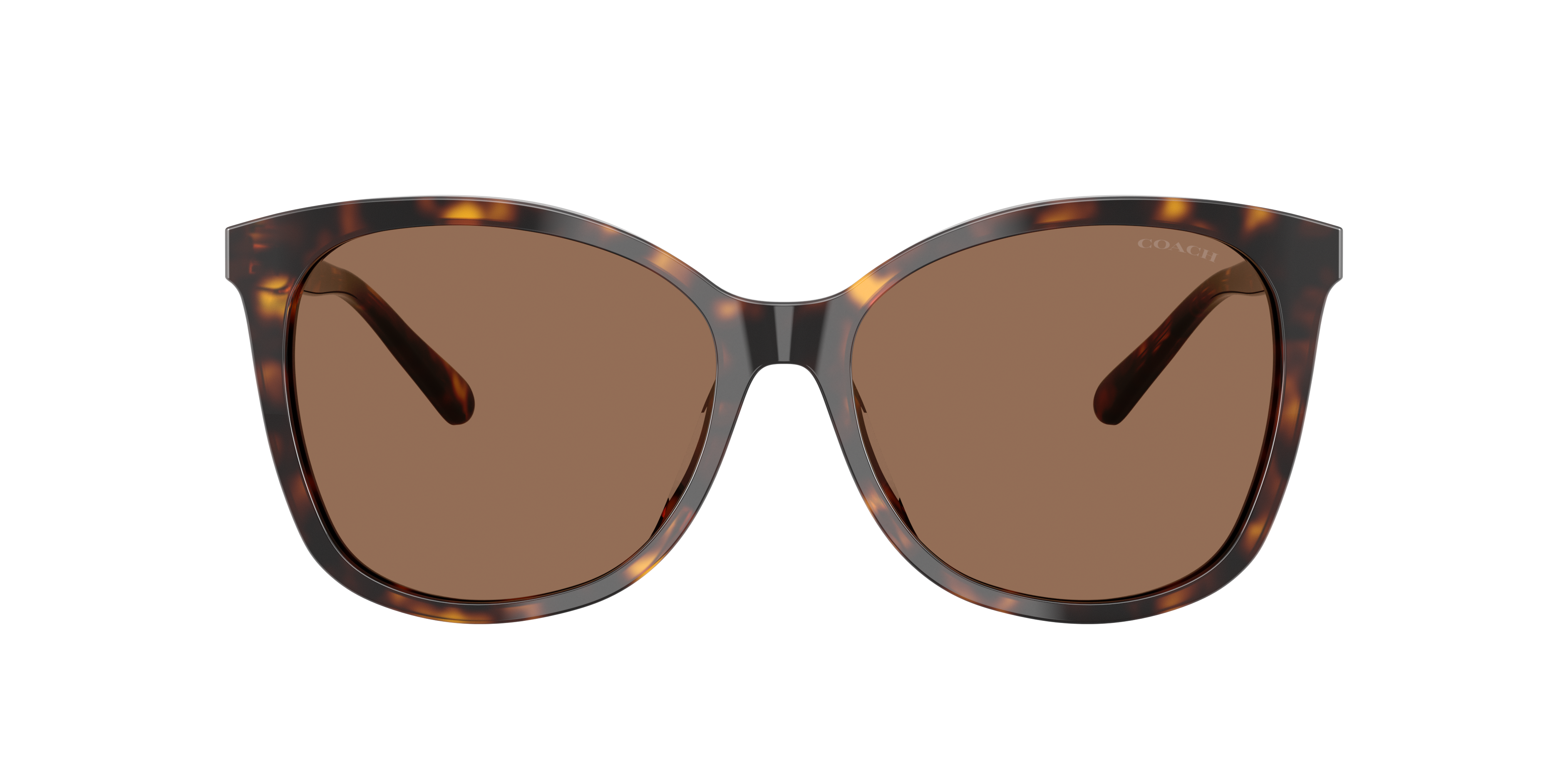 Coach Brand Eyewear | Clearly CA