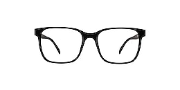 reincarnate Glasses albatross
