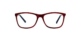 clearly Glasses cub