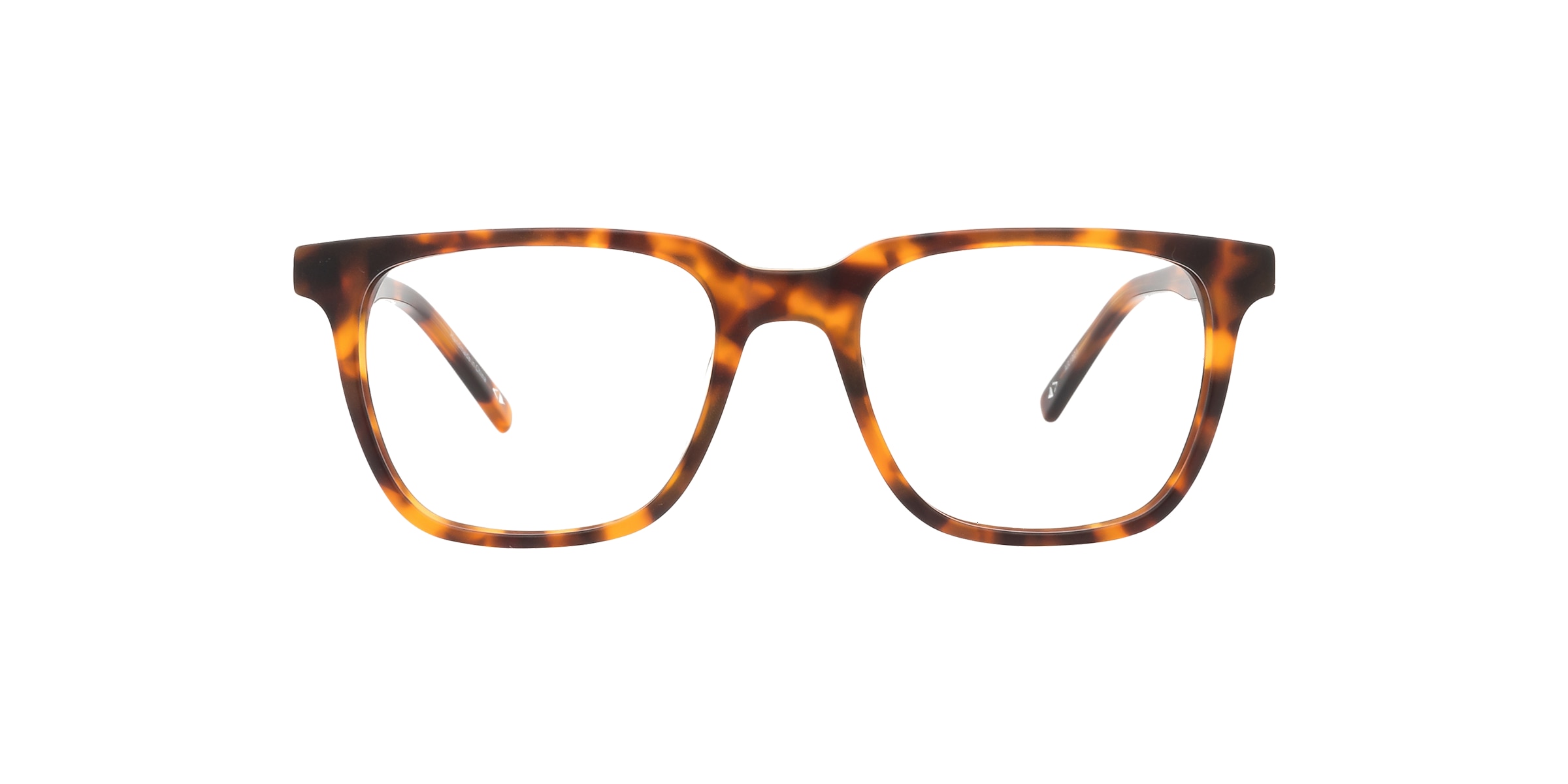 Clearly Glasses BRAY