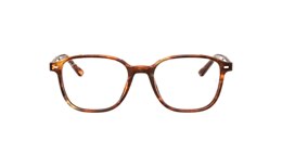 ray-ban Glasses rb5393 leonard optics