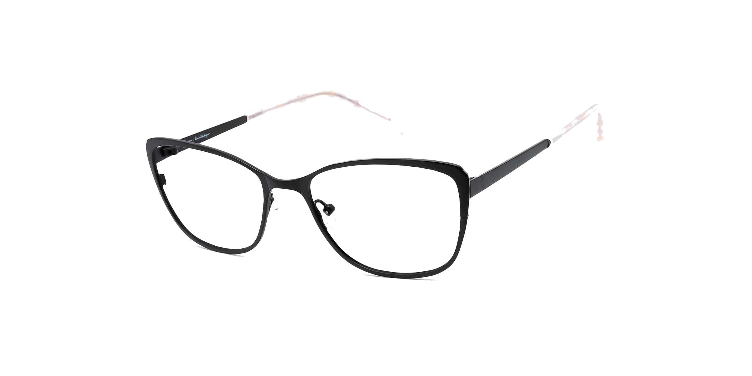 Clearly Glasses EUANTHE