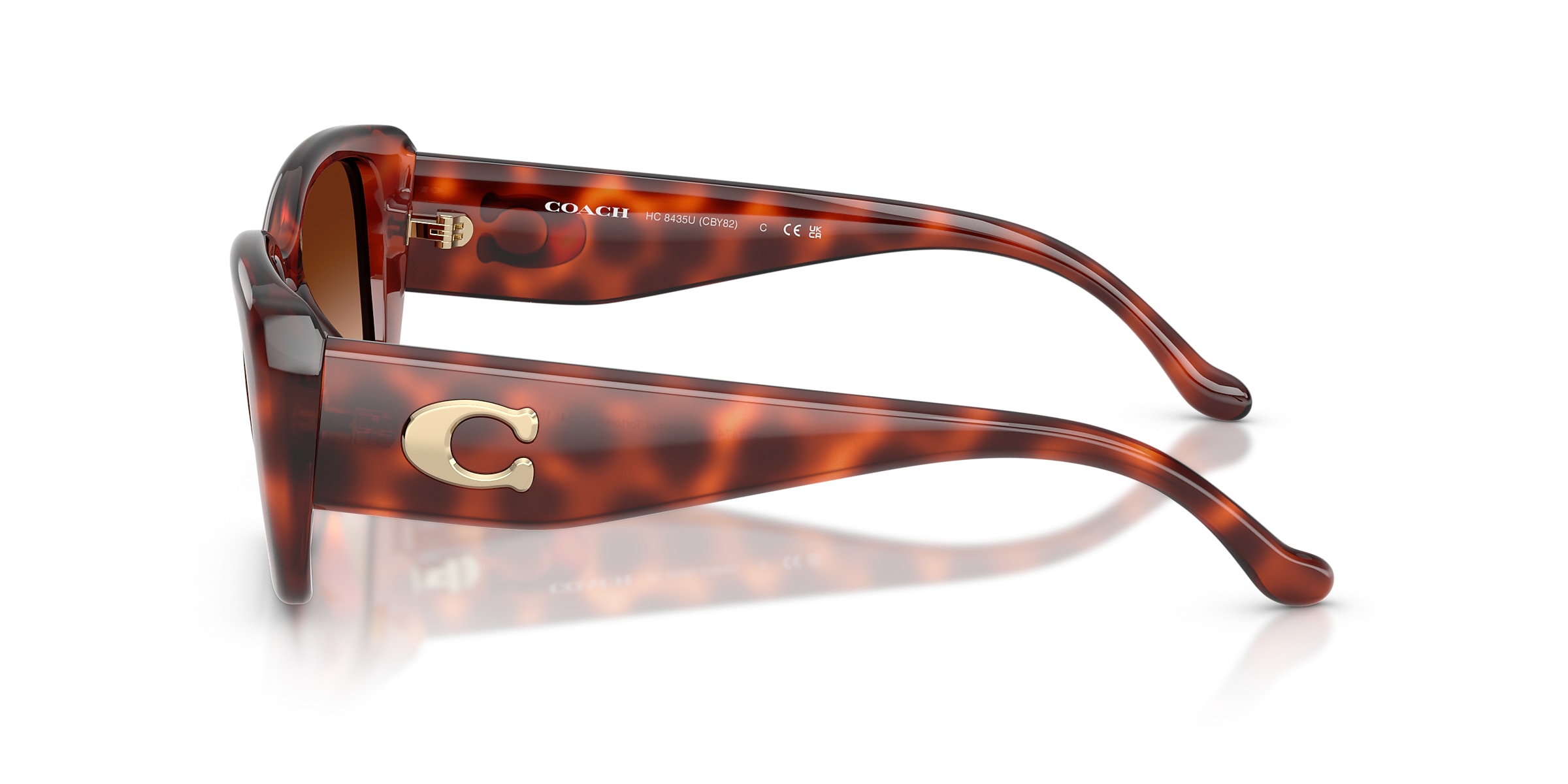 Coach Sunglasses HC8435U CBY82