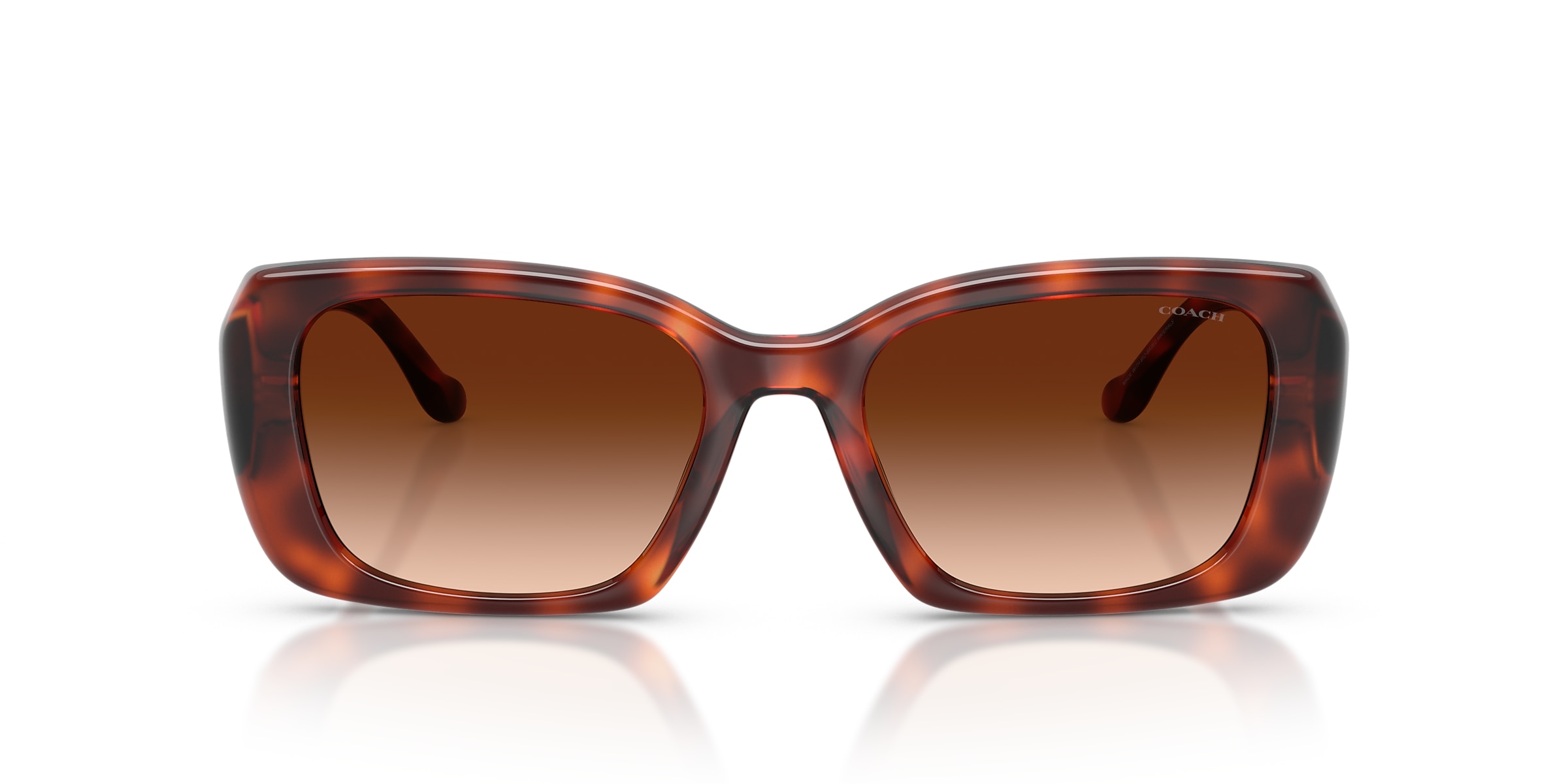 Coach Sunglasses HC8435U CBY82