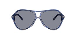 Diesel Sunglasses DL2013U