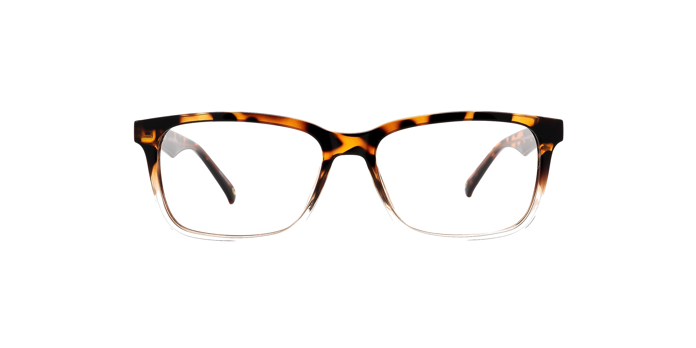 Clearly Glasses TORRENS CREEK