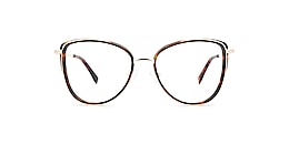 kam dhillon Glasses britt