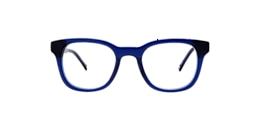 clearly Glasses pasiphae