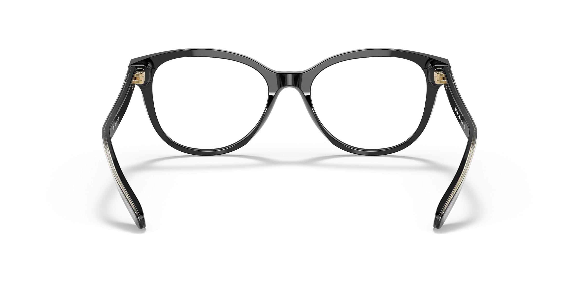 Coach Glasses HC6177F