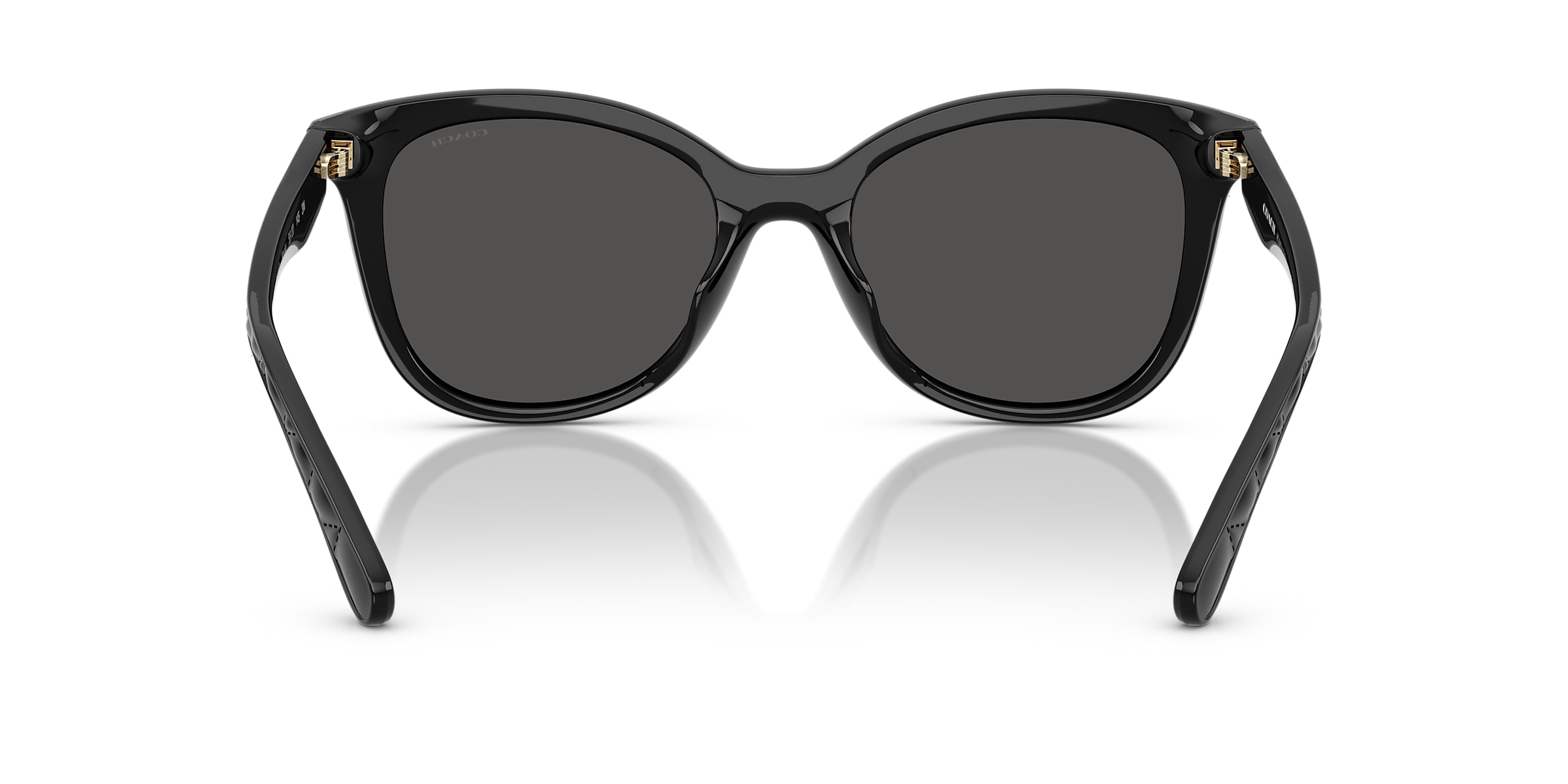 Coach Sunglasses HC8419U CAD25