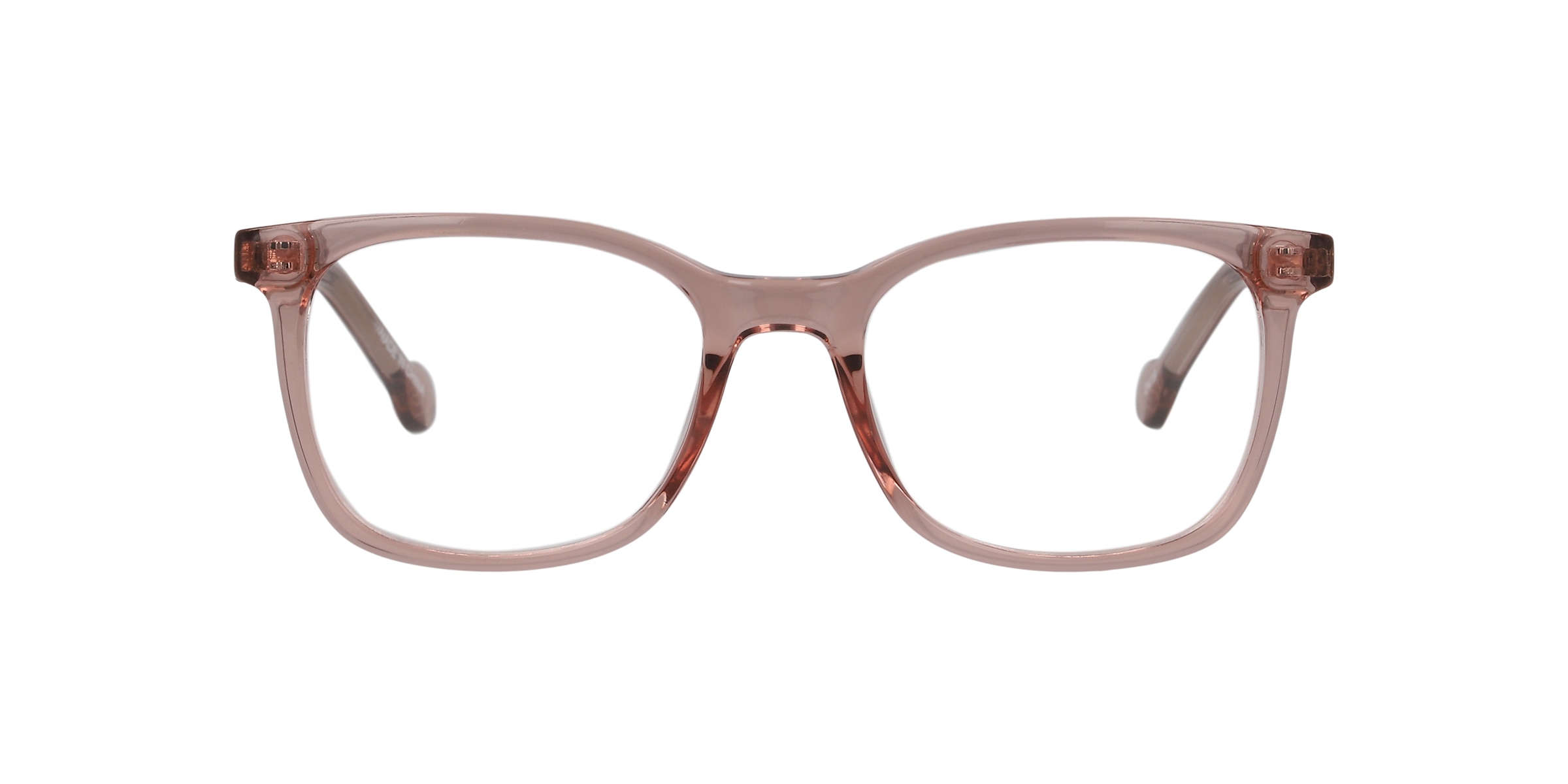 Clearly Glasses LION