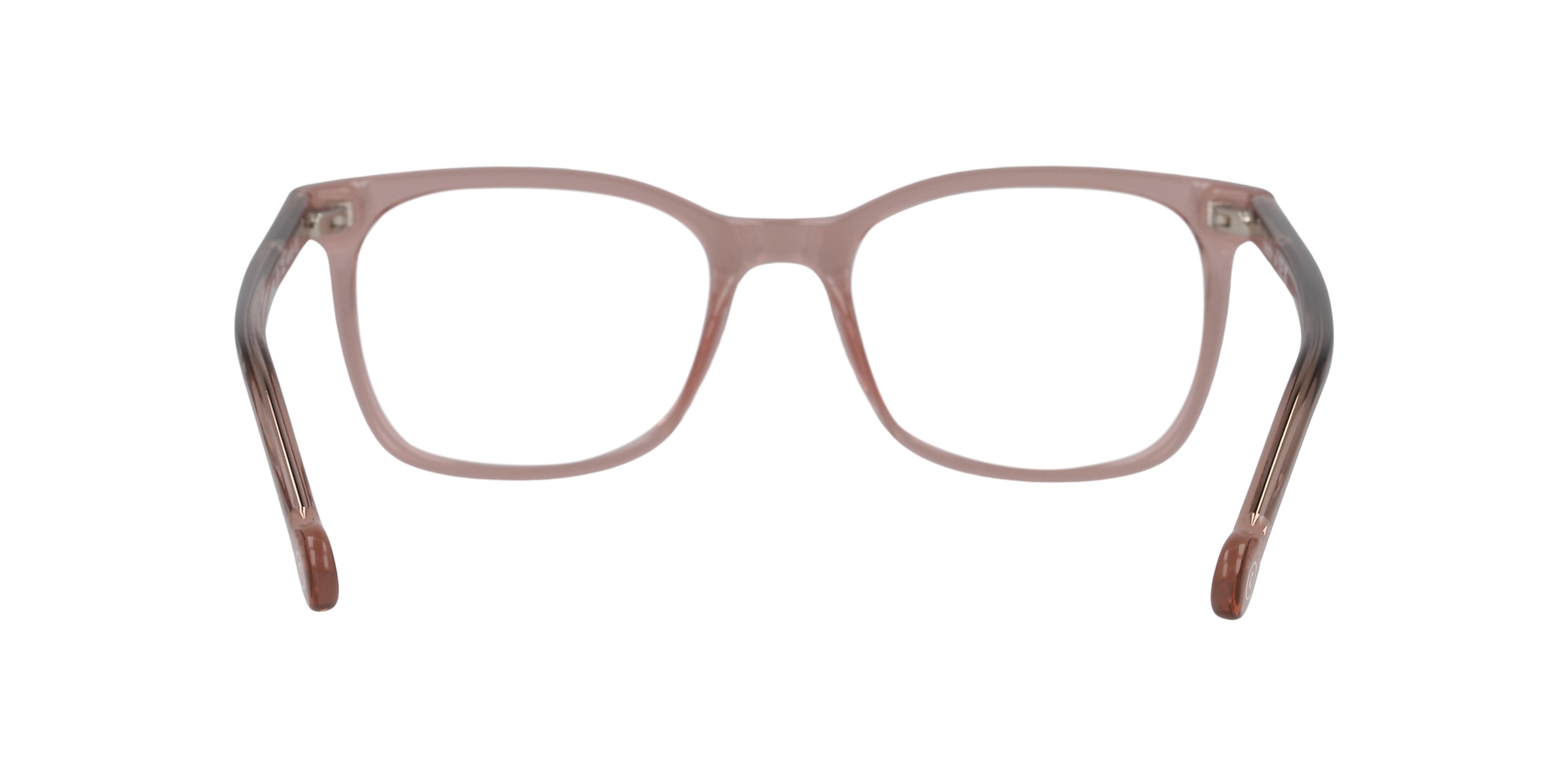 Clearly Glasses LION