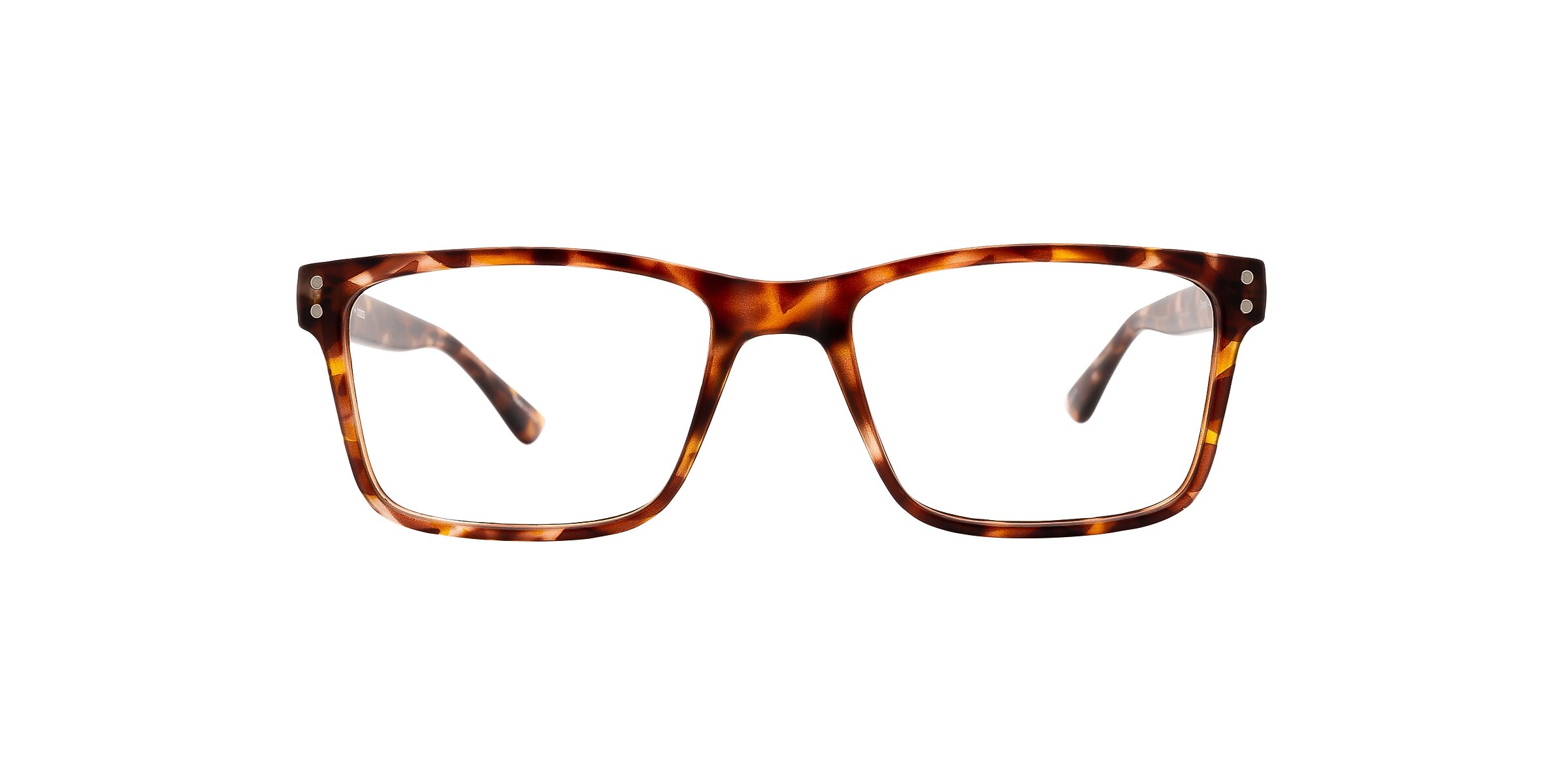 Clearly Glasses TORQUAY