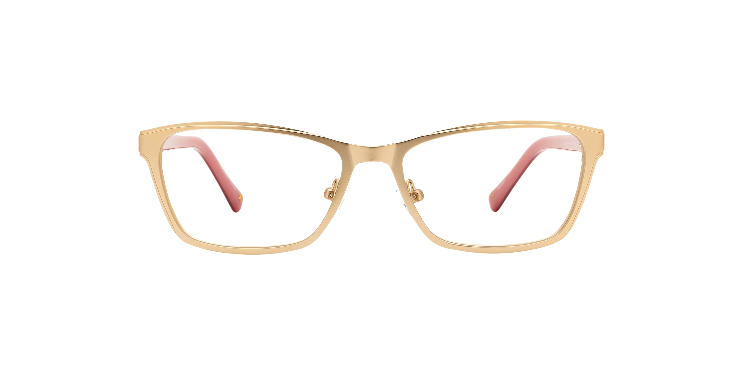 Clearly Glasses DELPHINUS