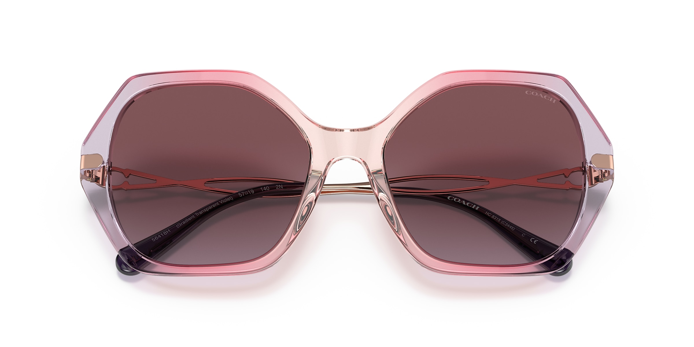 Coach Sunglasses HC8315 C3445