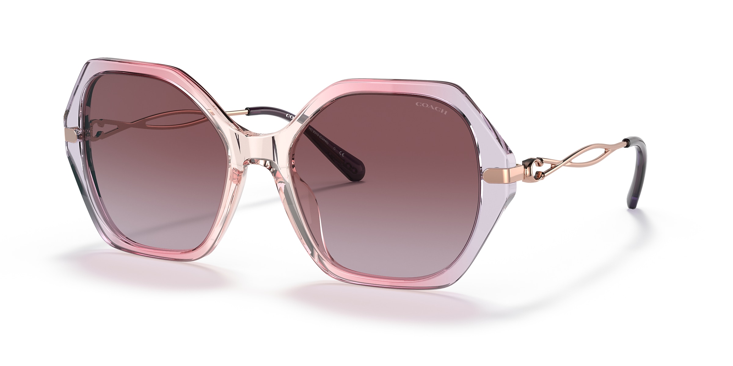 Coach Sunglasses HC8315 C3445